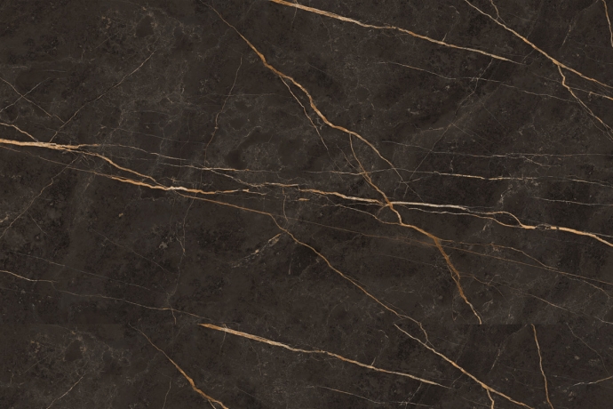 Black glossy marble with gold veins