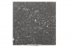 Terrazzo Black Outdoor Full-Body