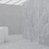 Onyx Grey glossy marble