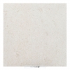 Arenaria siciliana Blanco R11