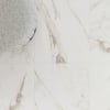 Matt calacatta imperiale cream