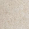 Matt Royal beige marble