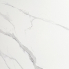 Statuary marble with gray veins