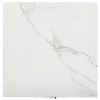 Statuary marble with gray veins