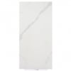 Statuary marble with gray veins