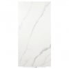Statuary marble with gray veins