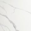 Statuary marble with gray veins