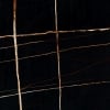 Sahara Noir glossy marble