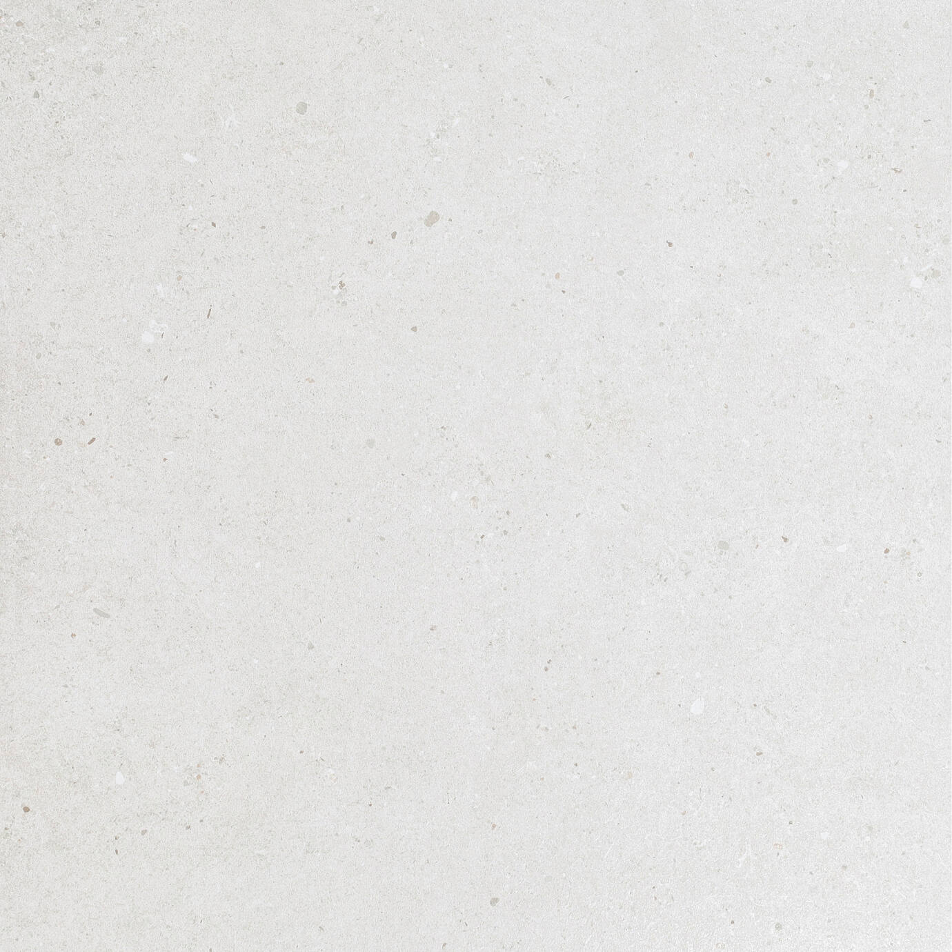 Sedimentary Stone White