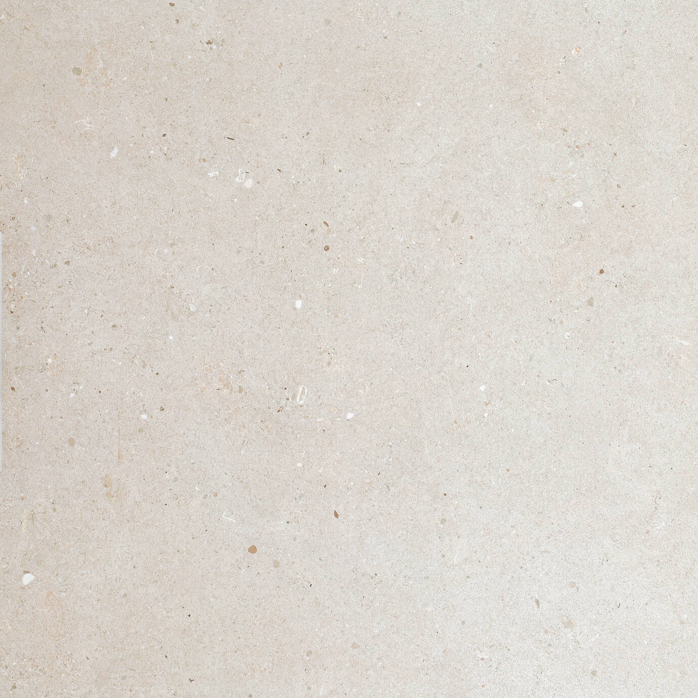 Sedimentary Stone Beige