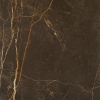 Glänzender Schwarzer Marmor mit gold Adern