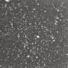 Terrazzo Noir Outdoor Pleine masse