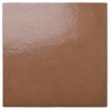 The Retro Brick Terracotta