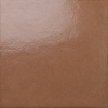 The Retro Brick Terracotta
