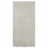 Limestone Taupe