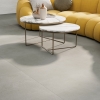 Northern Clays Grey