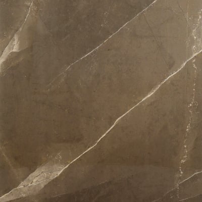 Marbre brillant brun pulpe