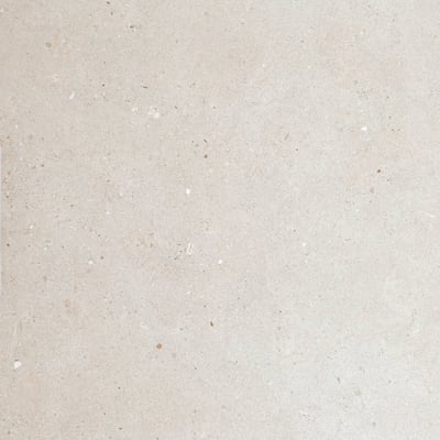 Beige Uniform Dotted Stone