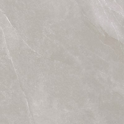 Taupe Ardesia stone