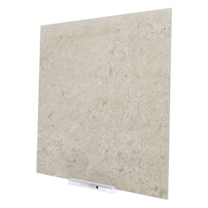 Arenaria siciliana Greige R11