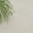 Beton white