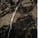 Marmo nero lucido con venature beige