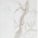 Matt Royal white marble