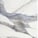 Exotique Calacatta Blue - Glossy Marble
