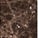 Emperador glossy Marble