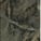 Verde Borgogna matt marble