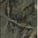 Verde Borgogna matt marble