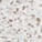 Terrazzo pink matt