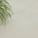 Beton white