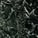 Verde Aver glossy Marble