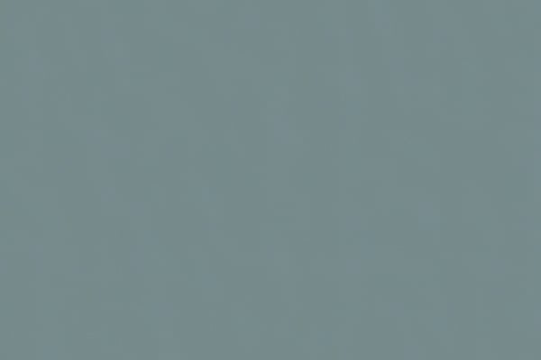 Essence Harz Faded Denim